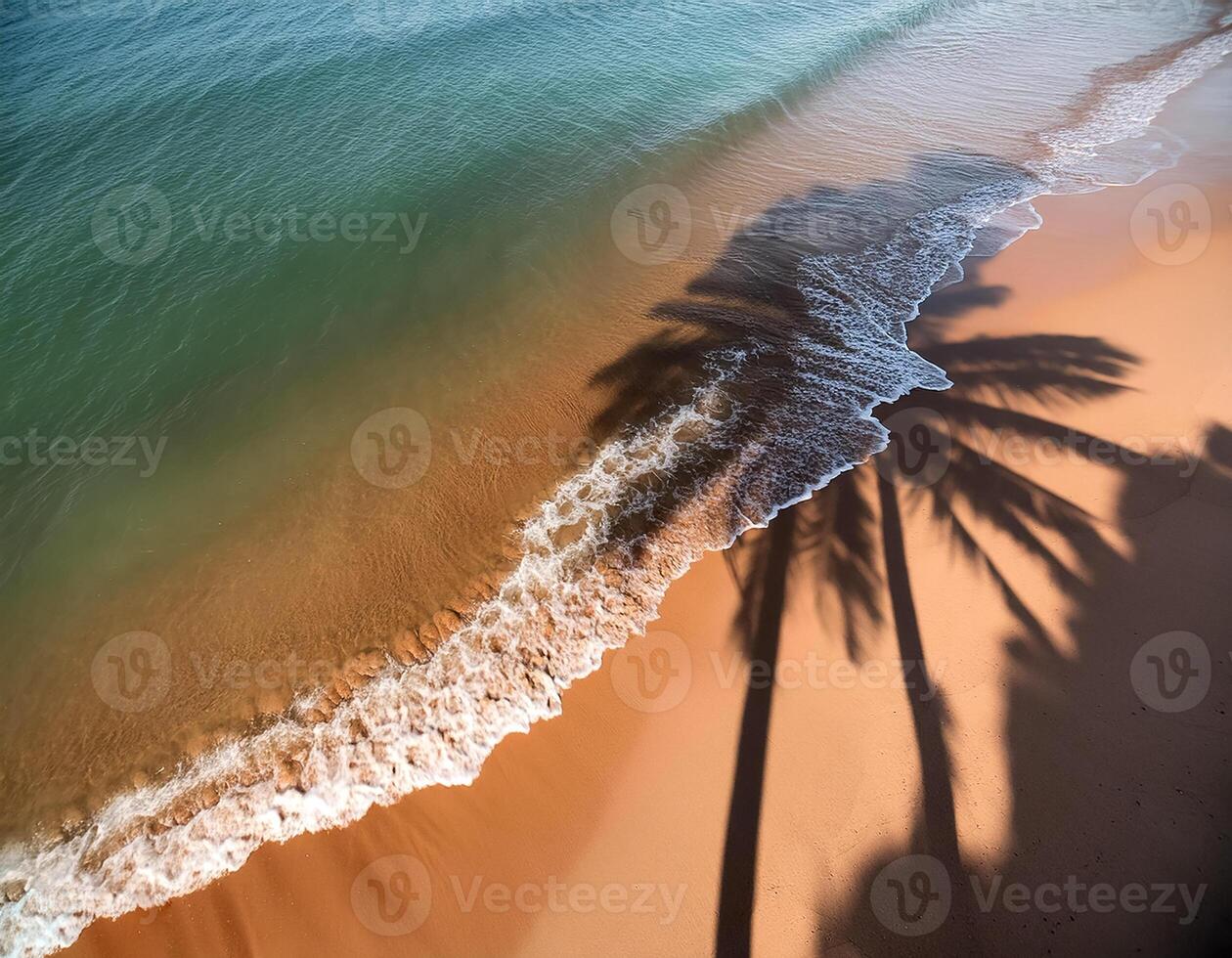 empty abstract sand beach with palm leaf shadow and transparent water wave from above, blank background banner for travel, vacation and wellbeing with copy space. top of views, aerial views photo