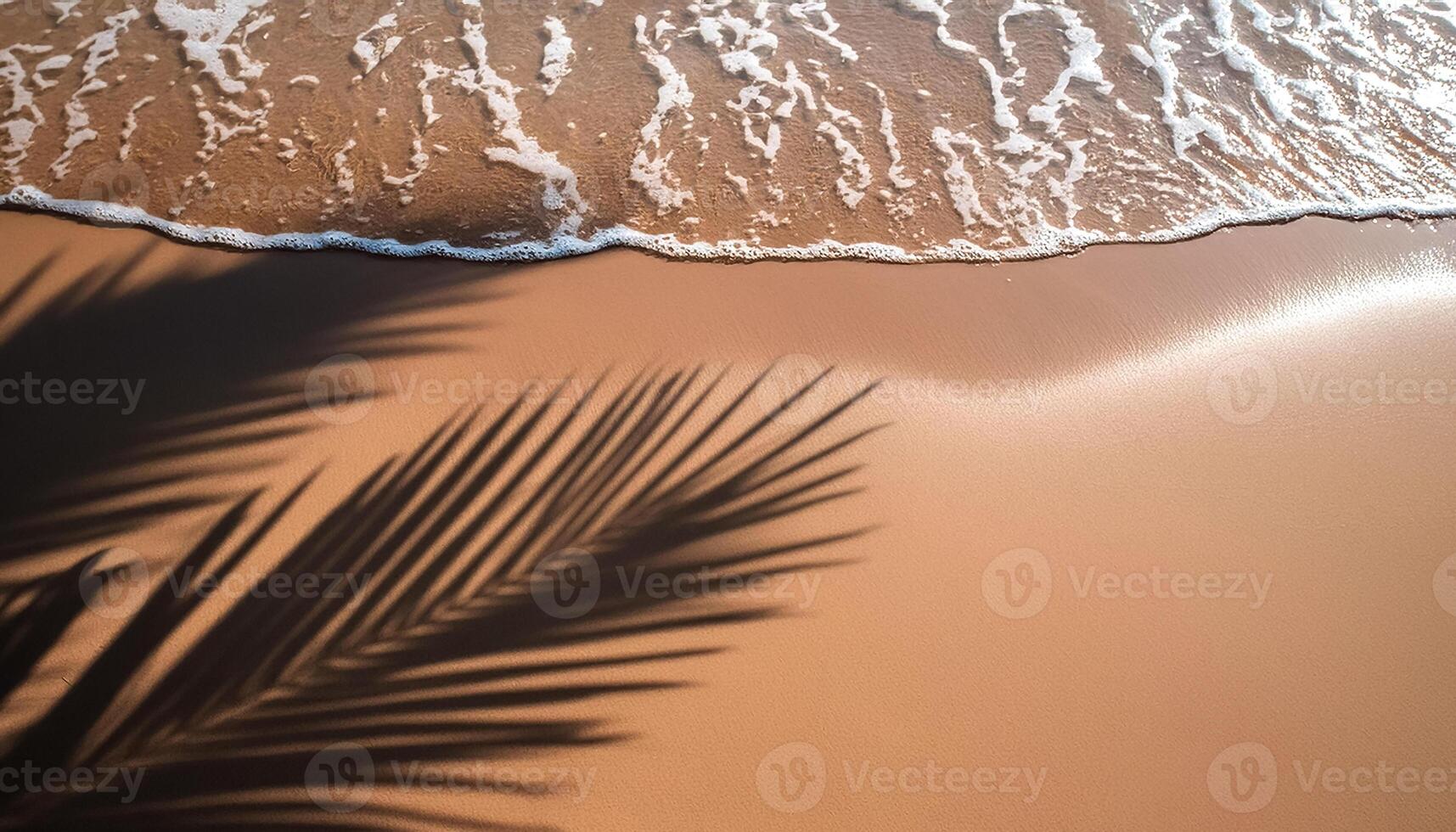 empty abstract sand beach with palm leaf shadow and transparent water wave from above, blank background banner for travel, vacation and wellbeing with copy space. top of views, aerial views photo