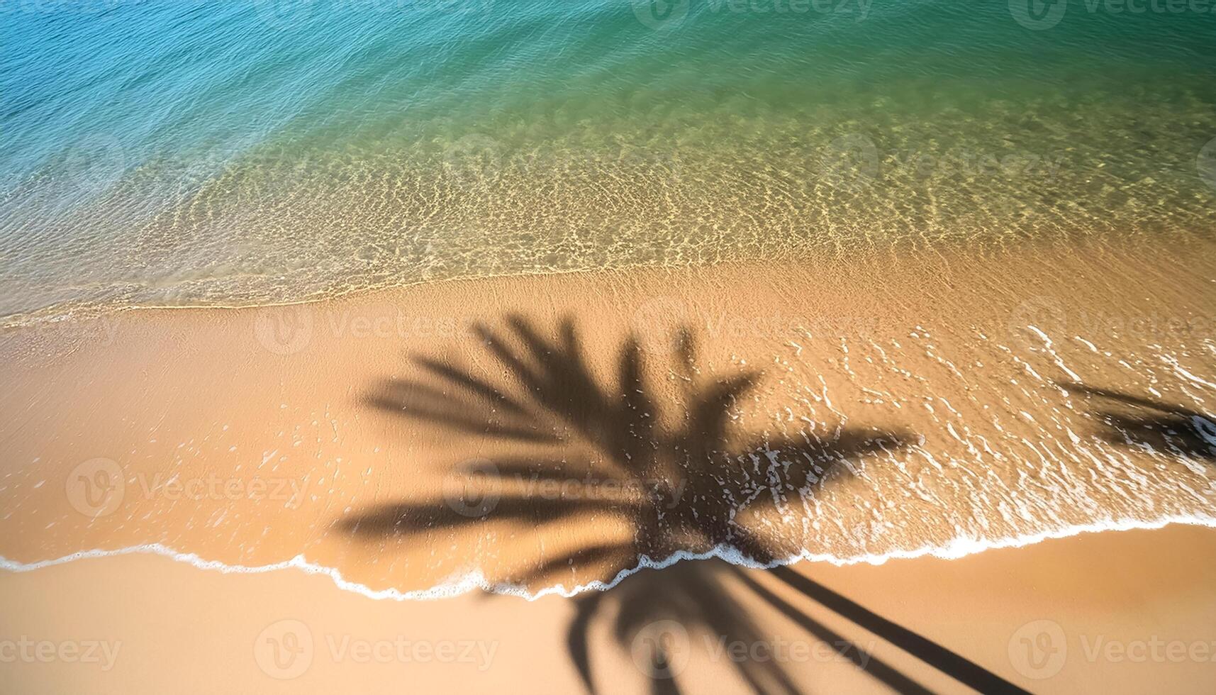 empty abstract sand beach with palm leaf shadow and transparent water wave from above, blank background banner for travel, vacation and wellbeing with copy space. top of views, aerial views photo