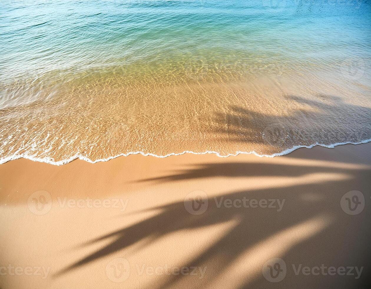 empty abstract sand beach with palm leaf shadow and transparent water wave from above, blank background banner for travel, vacation and wellbeing with copy space. top of views, aerial views photo