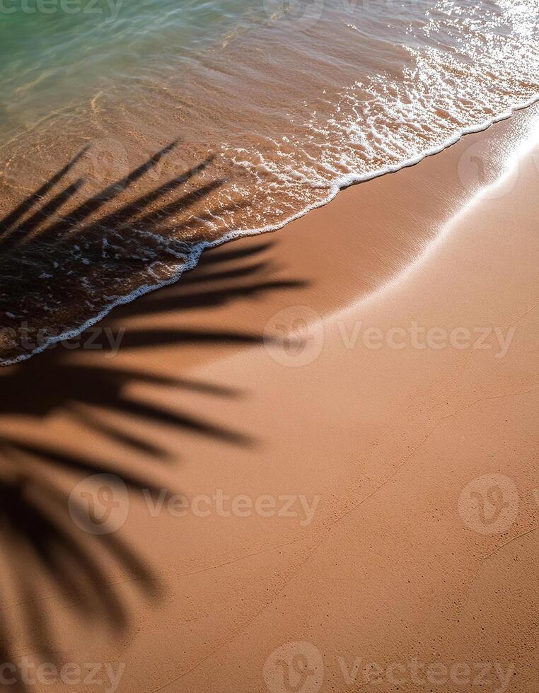 empty abstract sand beach with palm leaf shadow and transparent water wave from above, blank background banner for travel, vacation and wellbeing with copy space. top of views, aerial views photo