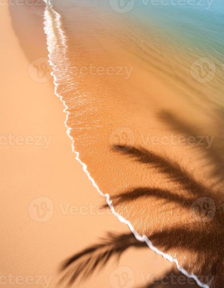 empty abstract sand beach with palm leaf shadow and transparent water wave from above, blank background banner for travel, vacation and wellbeing with copy space. top of views, aerial views photo