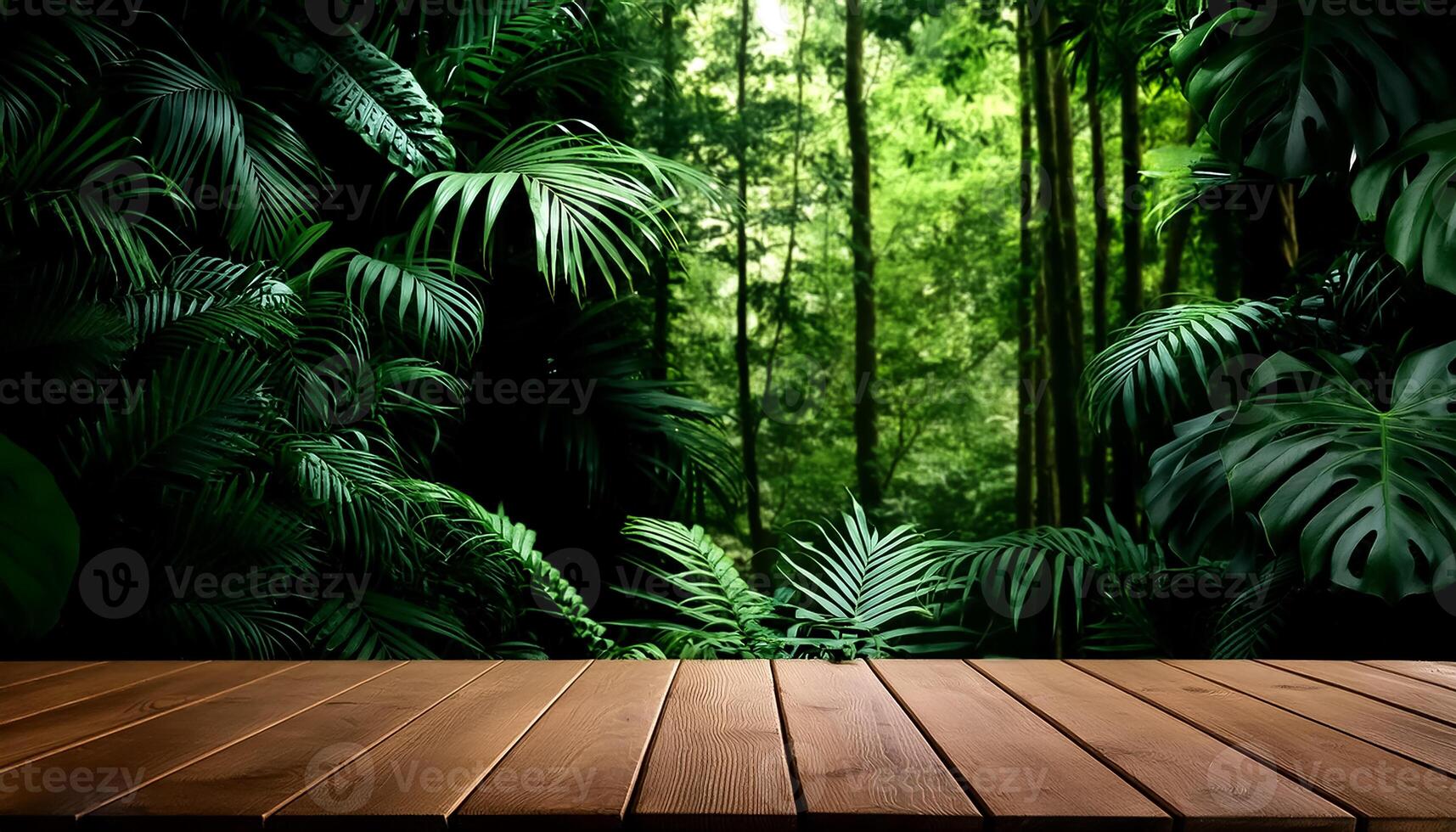 tropical forest for product presentation and dark green forest. photo