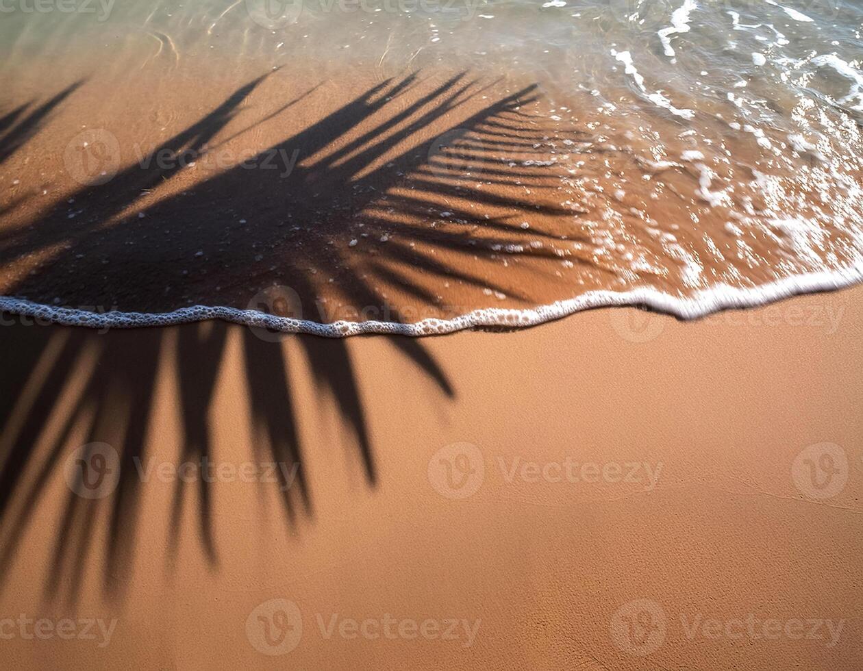 empty abstract sand beach with palm leaf shadow and transparent water wave from above, blank background banner for travel, vacation and wellbeing with copy space. top of views, aerial views photo