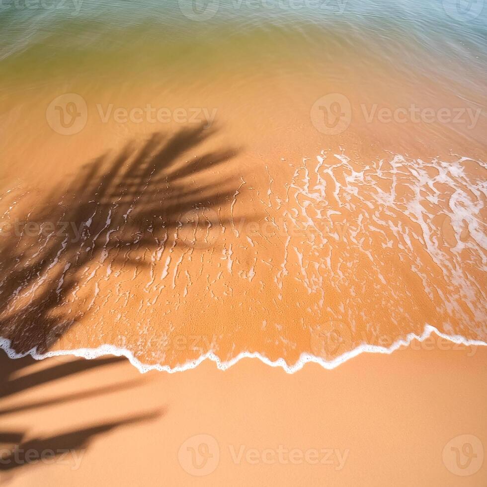 empty abstract sand beach with palm leaf shadow and transparent water wave from above, blank background banner for travel, vacation and wellbeing with copy space. top of views, aerial views photo