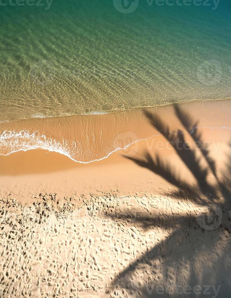 empty abstract sand beach with palm leaf shadow and transparent water wave from above, blank background banner for travel, vacation and wellbeing with copy space. top of views, aerial views photo