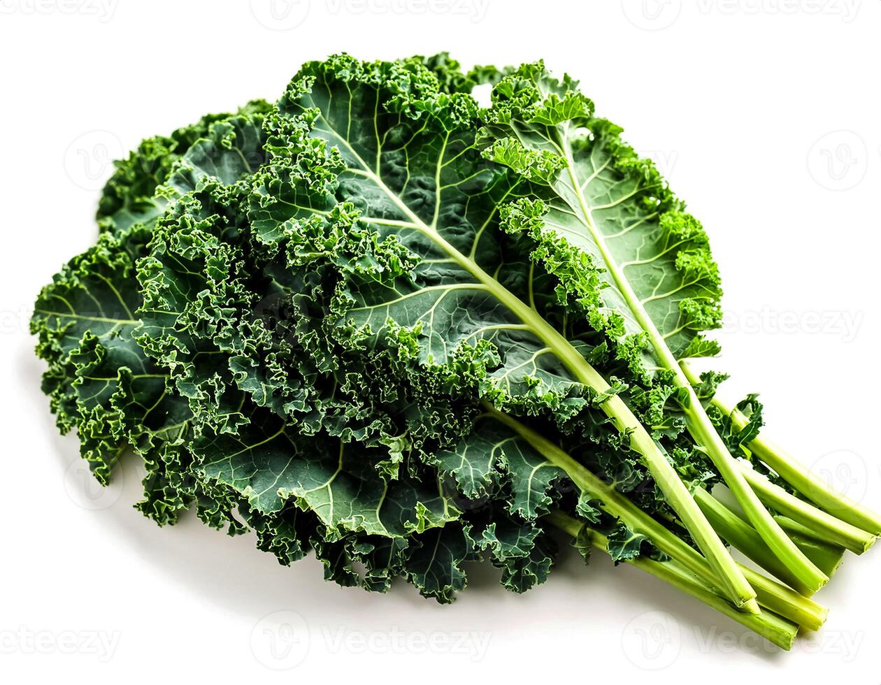 kale isolated on white background. flat lay. Image quality for great. photo