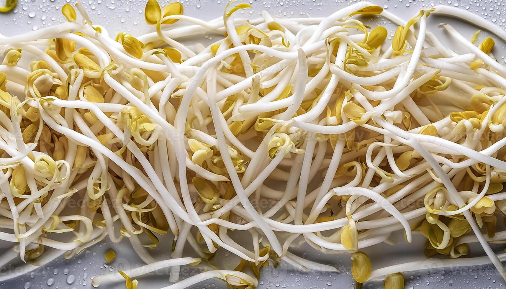 Creative food concept. Fresh a pile of Bean Sprouts against a white background photo