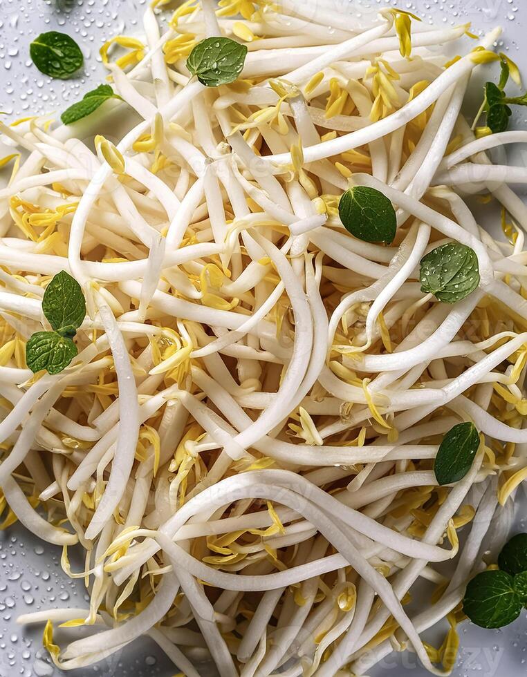 Creative food concept. Fresh a pile of Bean Sprouts against a white background photo