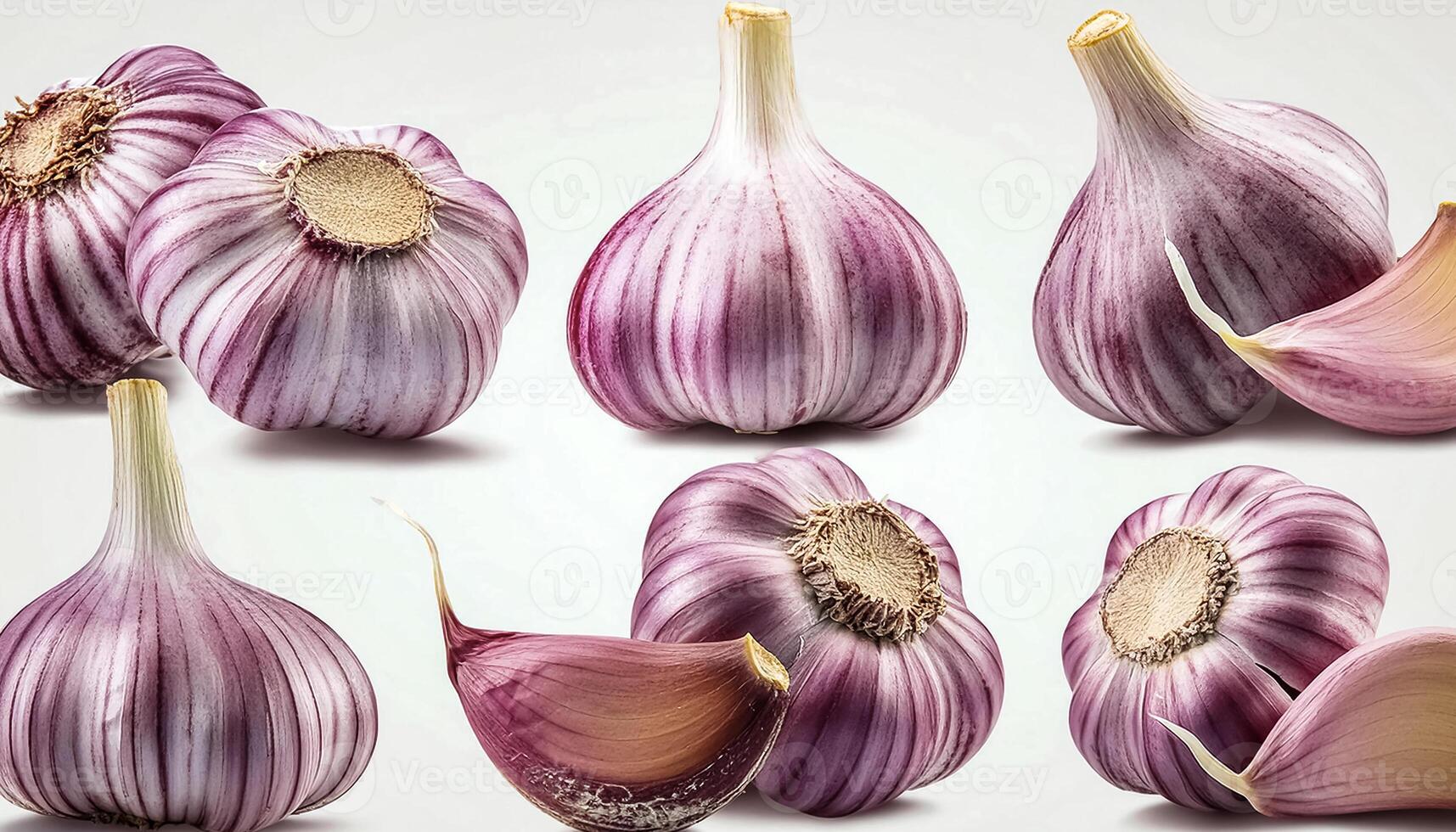 Garlic bulb isolated. Garlic on white background. Purple garlic bulb collection. photo