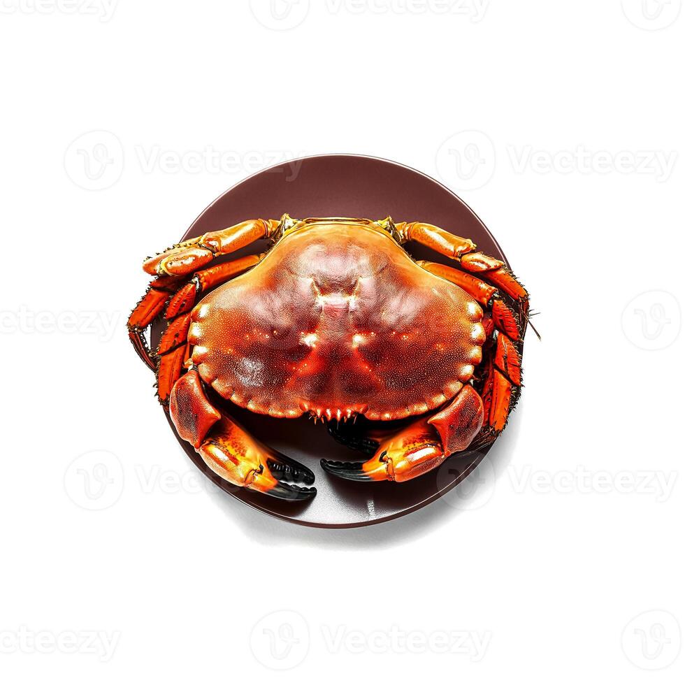 seafood concept. Fresh Big crab photo