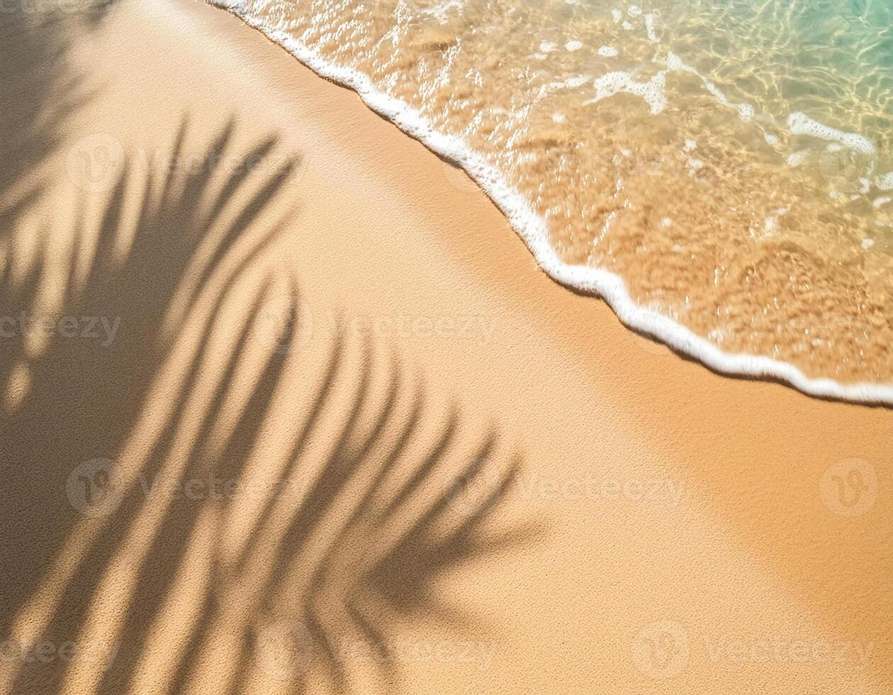 empty abstract sand beach with palm leaf shadow and transparent water wave from above, blank background banner for travel, vacation and wellbeing with copy space. top of views, aerial views. photo