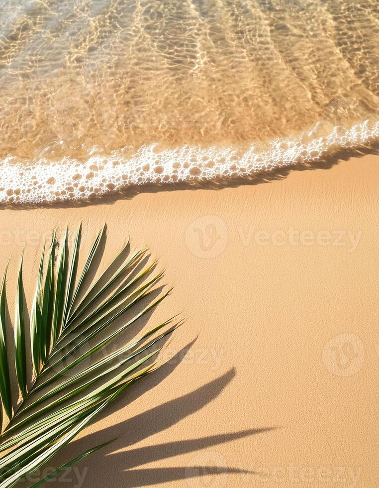 empty abstract sand beach with palm leaf shadow and transparent water wave from above, blank background banner for travel, vacation and wellbeing with copy space. top of views, aerial views. photo