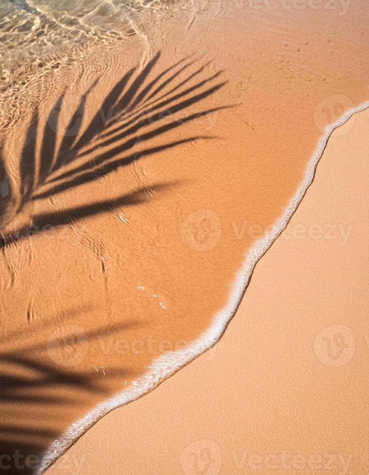 empty abstract sand beach with palm leaf shadow and transparent water wave from above, blank background banner for travel, vacation and wellbeing with copy space. top of views, aerial views. photo