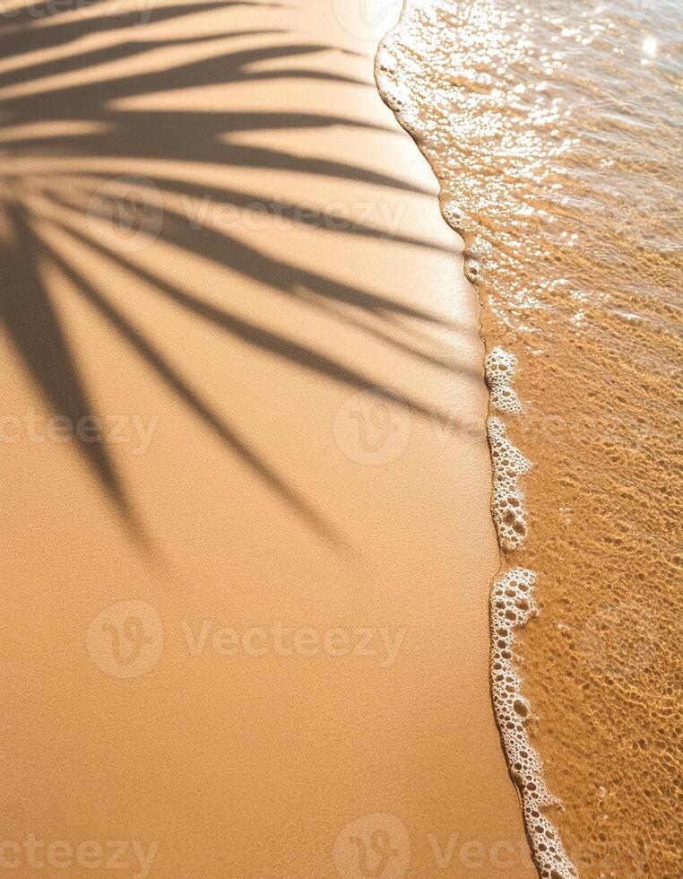 empty abstract sand beach with palm leaf shadow and transparent water wave from above, blank background banner for travel, vacation and wellbeing with copy space. top of views, aerial views. photo