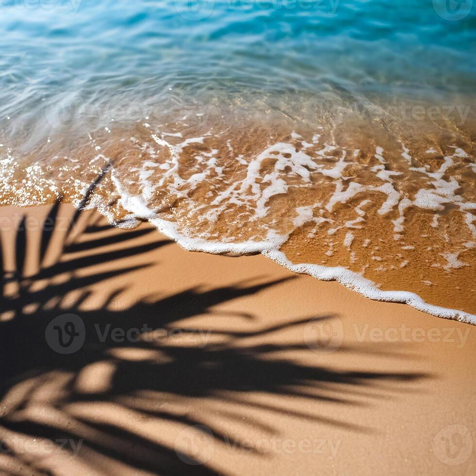 empty abstract sand beach with palm leaf shadow and transparent water wave from above, blank background banner for travel, vacation and wellbeing with copy space. top of views, aerial views. photo