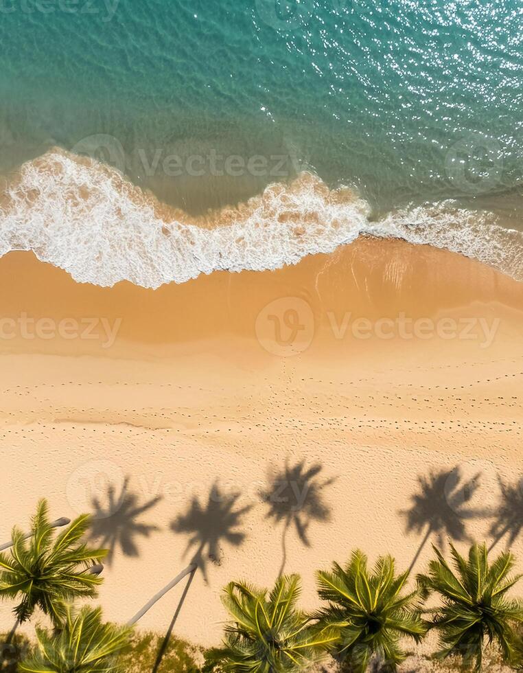 empty abstract sand beach with palm leaf shadow and transparent water wave from above, blank background banner for travel, vacation and wellbeing with copy space. top of views, aerial views. photo