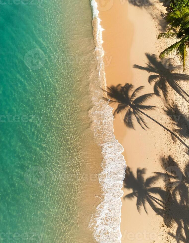 empty abstract sand beach with palm leaf shadow and transparent water wave from above, blank background banner for travel, vacation and wellbeing with copy space. top of views, aerial views. photo