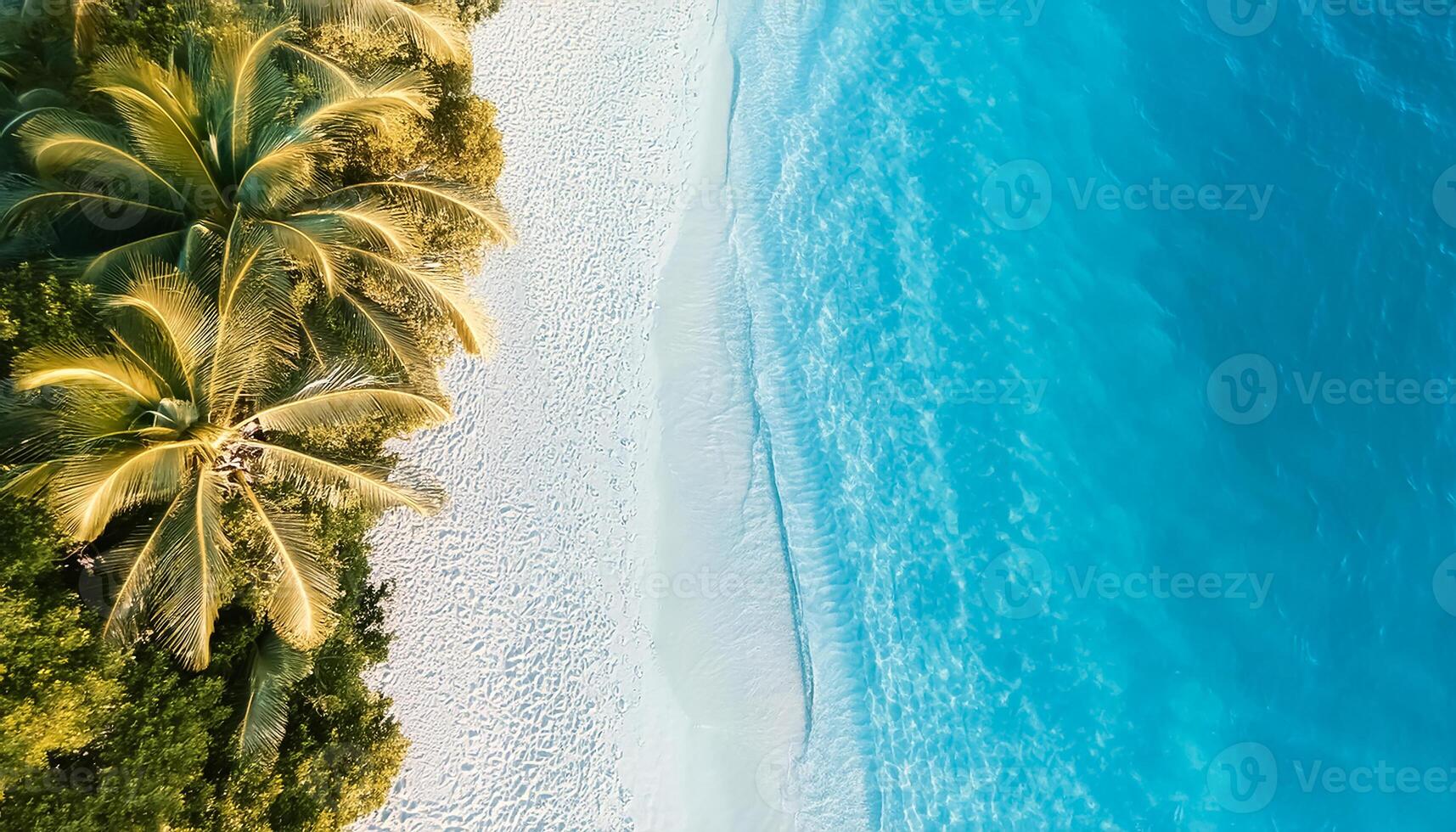 empty abstract sand beach with palm leaf shadow and transparent water wave from above, blank background banner for travel, vacation and wellbeing with copy space. top of views, aerial views. photo