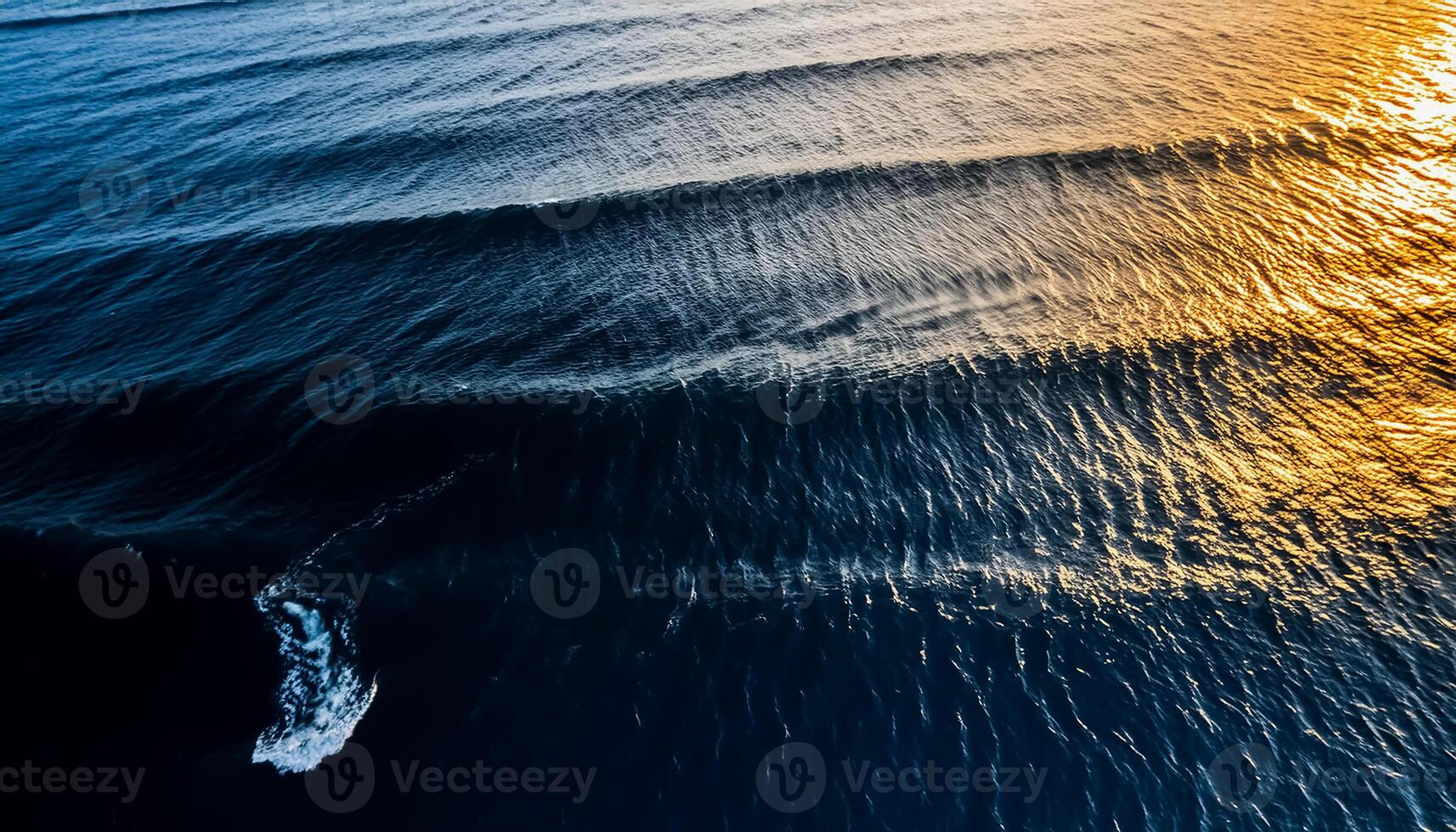 empty abstract sand beach with palm leaf shadow and transparent water wave from above, blank background banner for travel, vacation and wellbeing with copy space. top of views, aerial views. photo