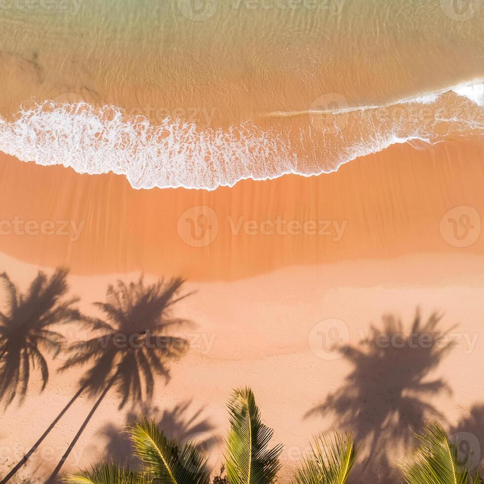 empty abstract sand beach with palm leaf shadow and transparent water wave from above, blank background banner for travel, vacation and wellbeing with copy space. top of views, aerial views. photo