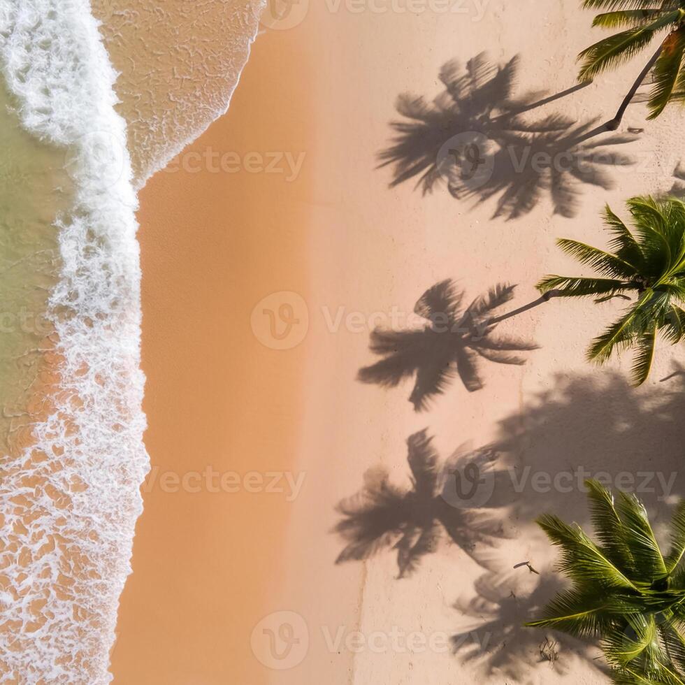 empty abstract sand beach with palm leaf shadow and transparent water wave from above, blank background banner for travel, vacation and wellbeing with copy space. top of views, aerial views. photo