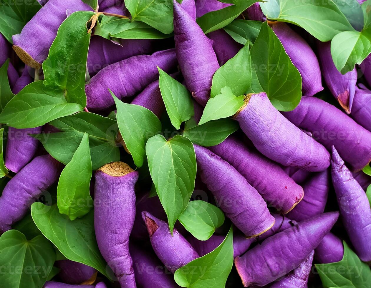 Full frame background Purple sweet yam. Creative layout of Purple sweet yam background, close up. flat lay. top of views photo