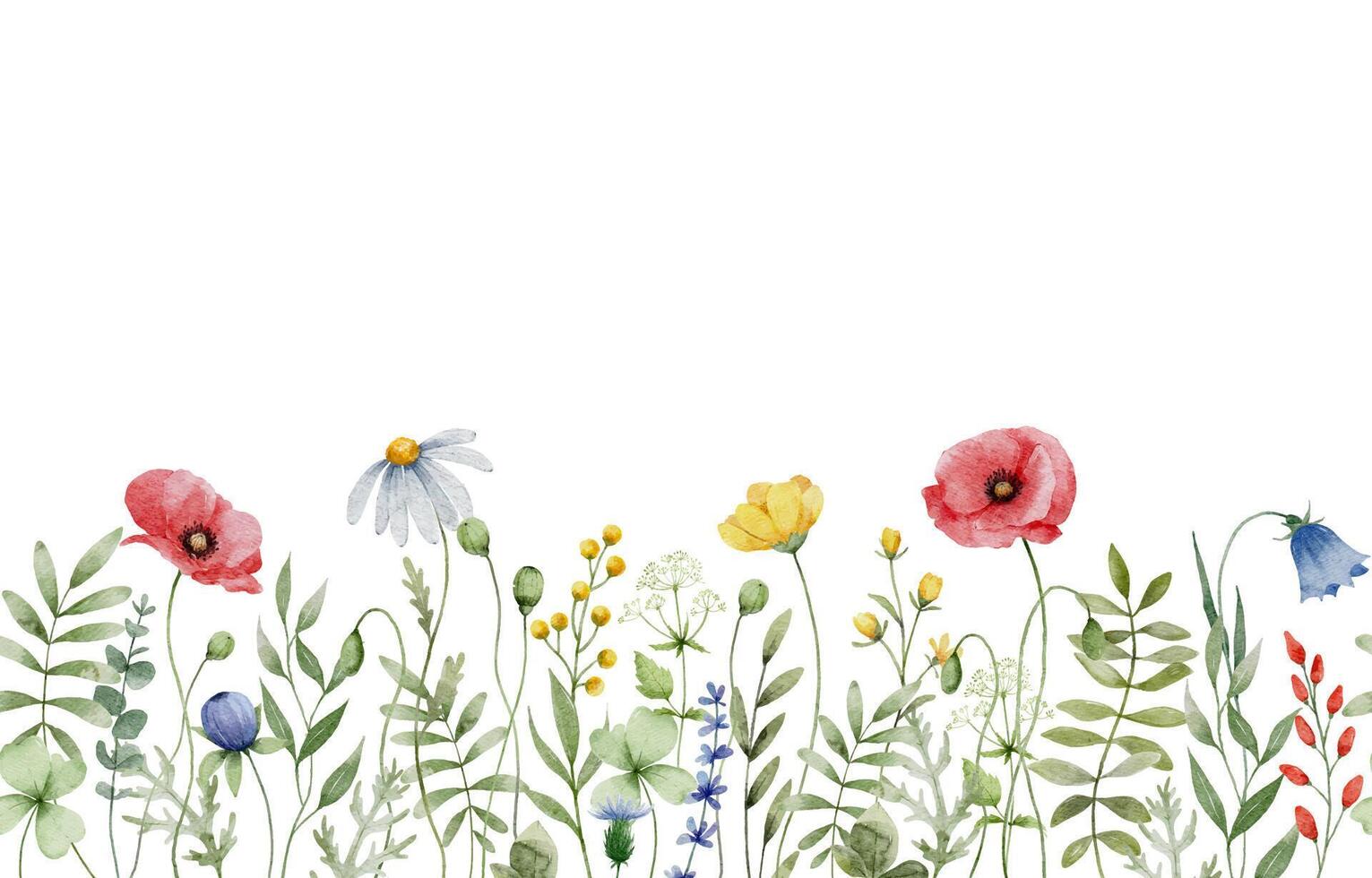 Watercolor Wildflower Seamless Horizontal Border vector