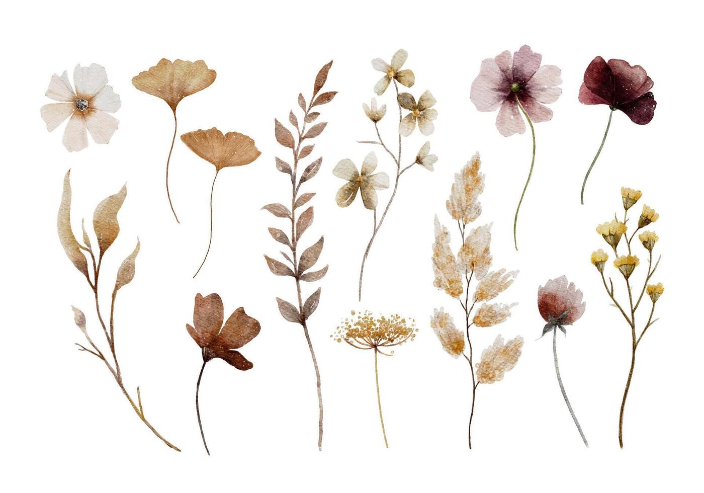 Watercolor Pressed Flower Collection vector