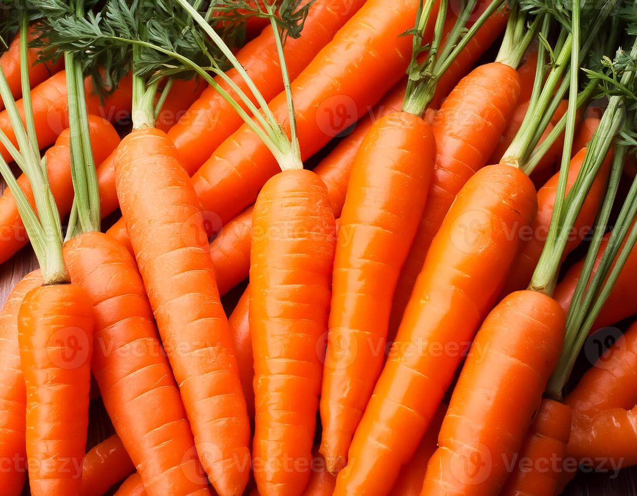 a carrot organic photo