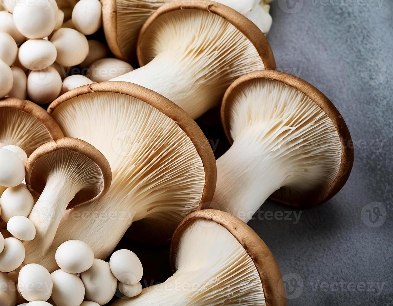 Fresh beech mushroom photo