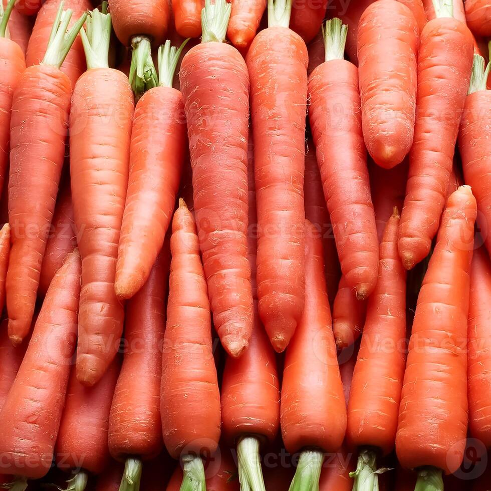 a carrot organic photo