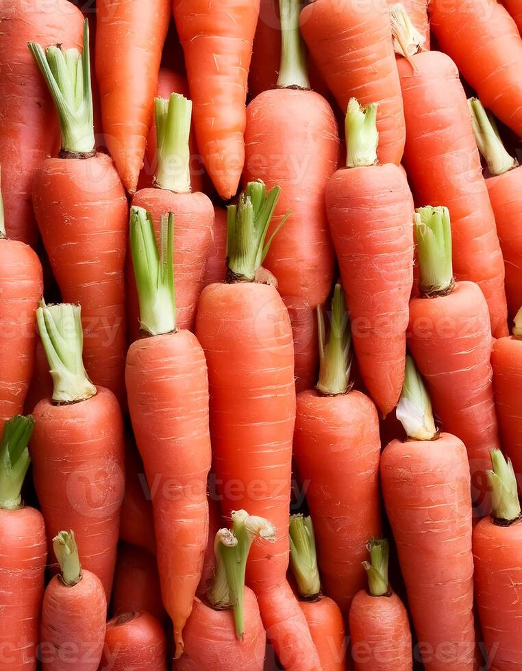 a carrot organic photo