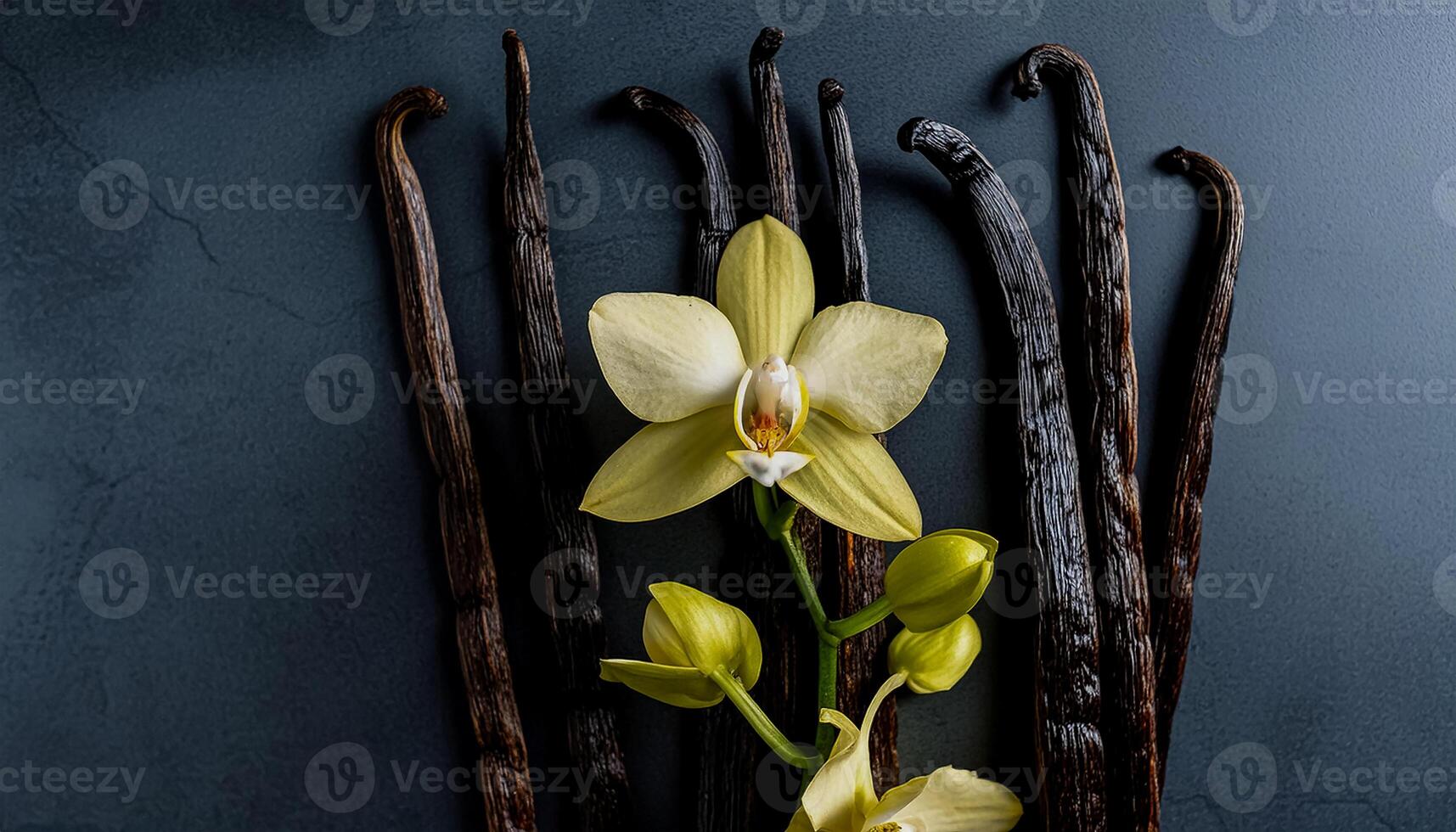 photo of Vanilla flower and pods with leaves from above. pattern texture background.