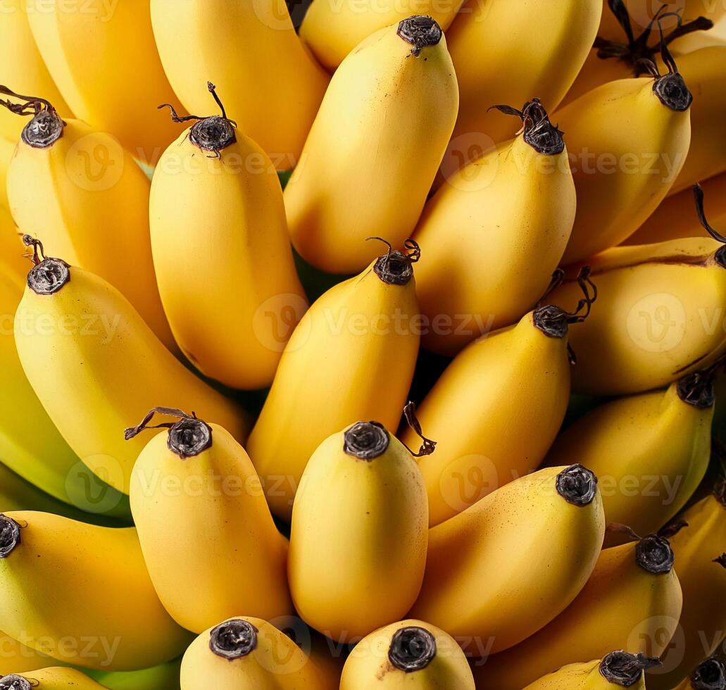 fresh banana fruit. photo