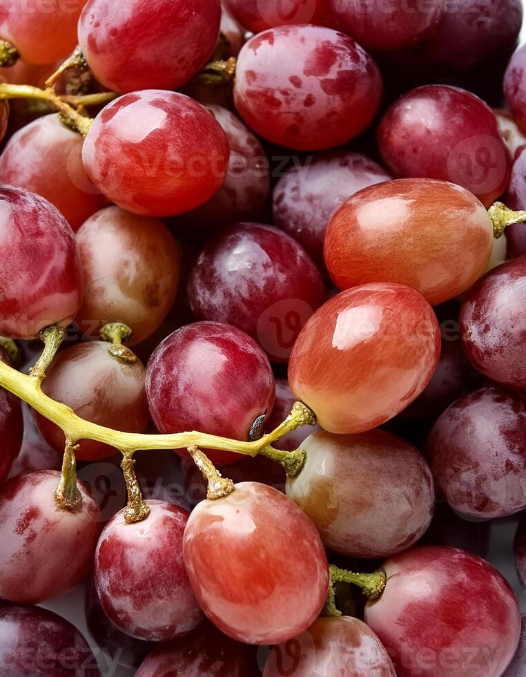 a fresh grape fruit. photo