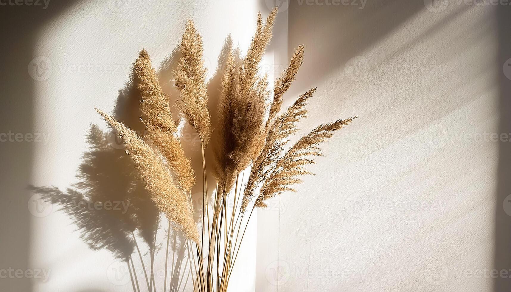 Branch of dry reeds on background of white wall at home with sun light and trendy shadow. Beautiful pattern with neutral colors. Minimal, stylish, monochrome concept. copy space photo