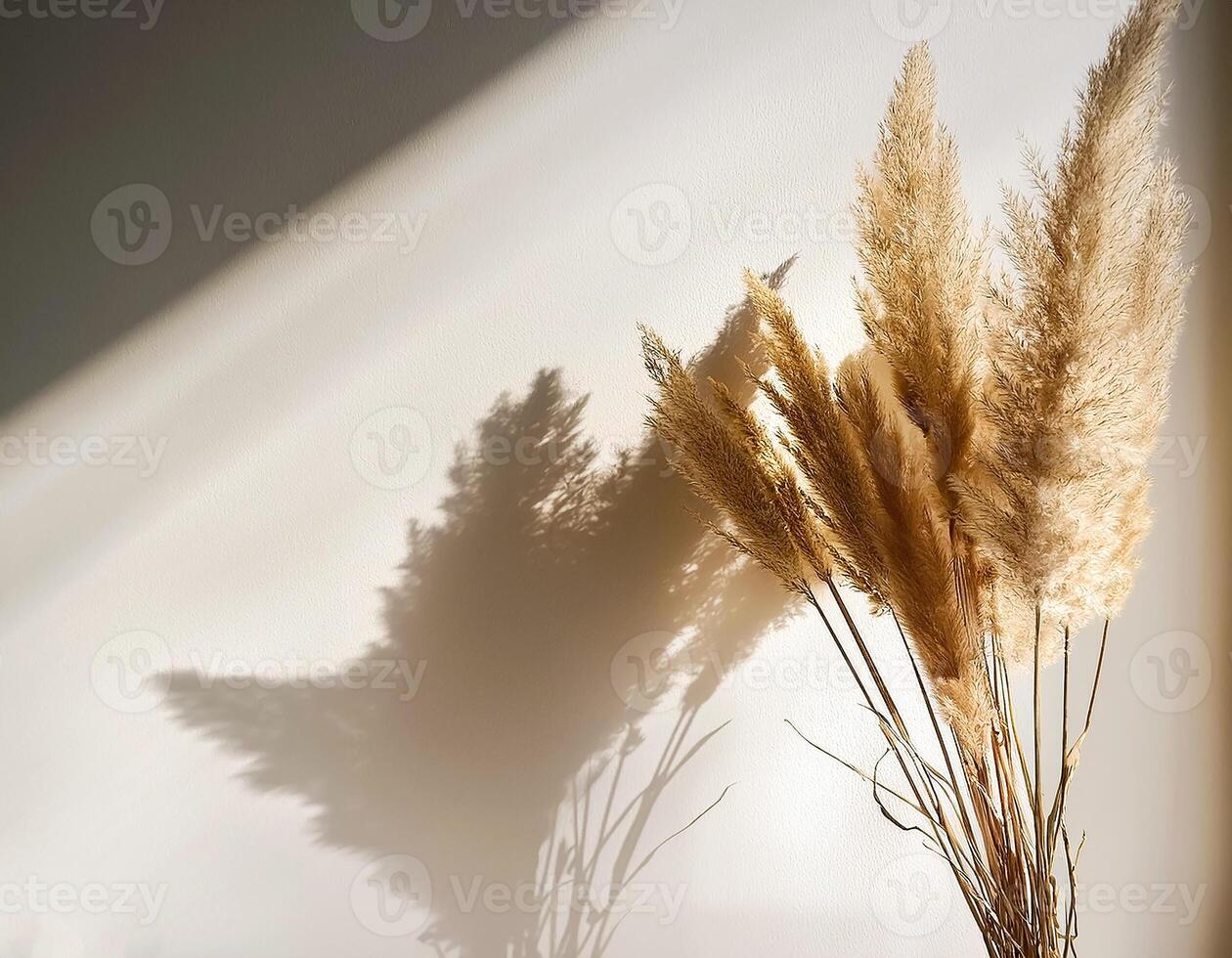 Branch of dry reeds on background of white wall at home with sun light and trendy shadow. Beautiful pattern with neutral colors. Minimal, stylish, monochrome concept. copy space photo