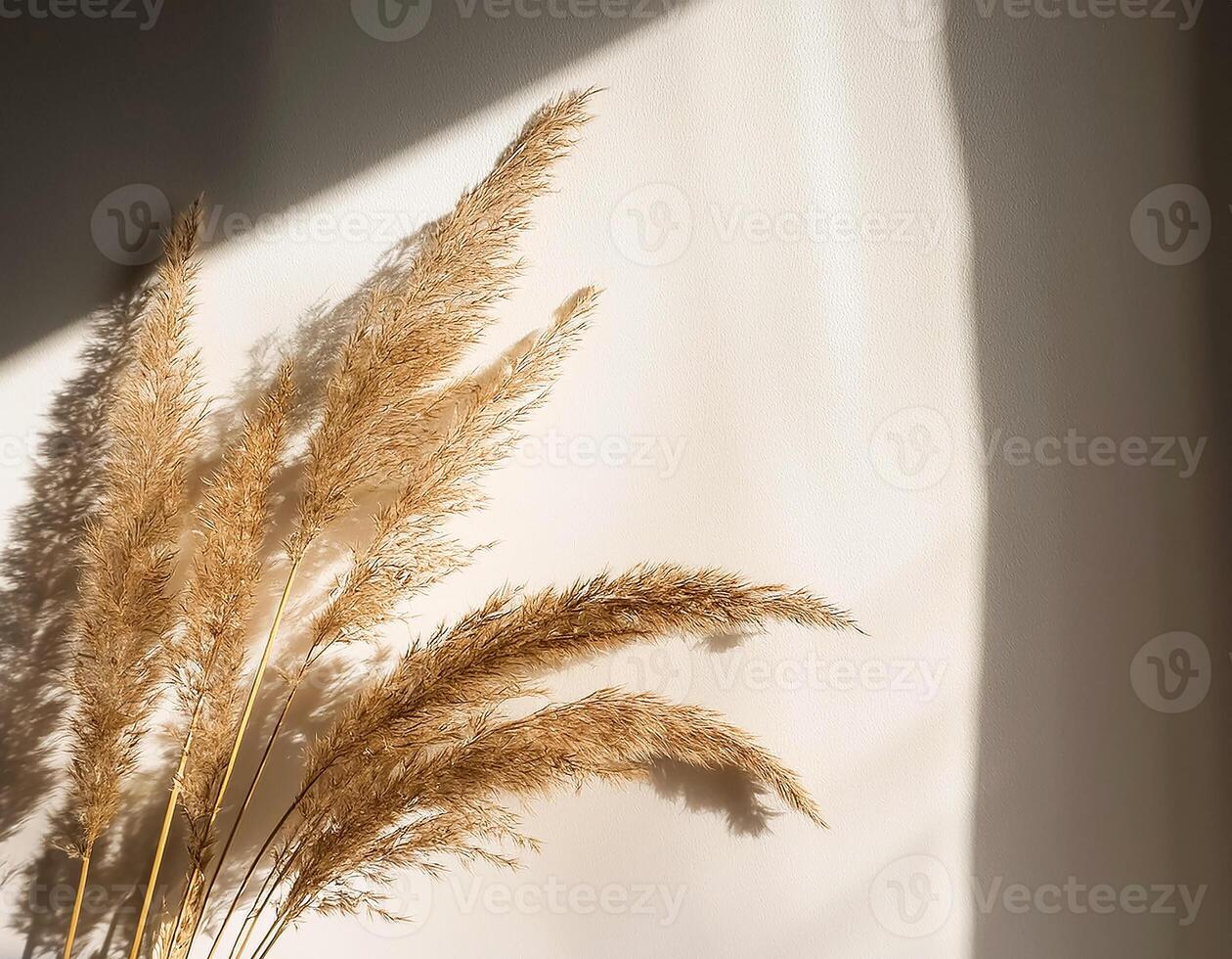 Branch of dry reeds on background of white wall at home with sun light and trendy shadow. Beautiful pattern with neutral colors. Minimal, stylish, monochrome concept. copy space photo
