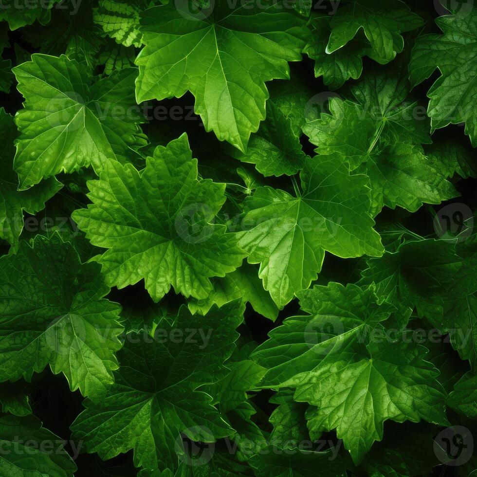 Pile of Green Leaves on Ground photo