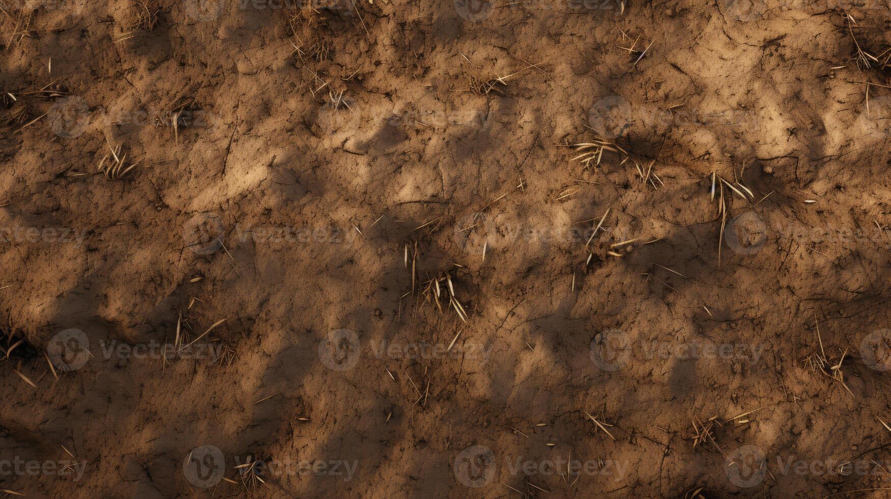 Aerial View of Dirt Field With Grass photo
