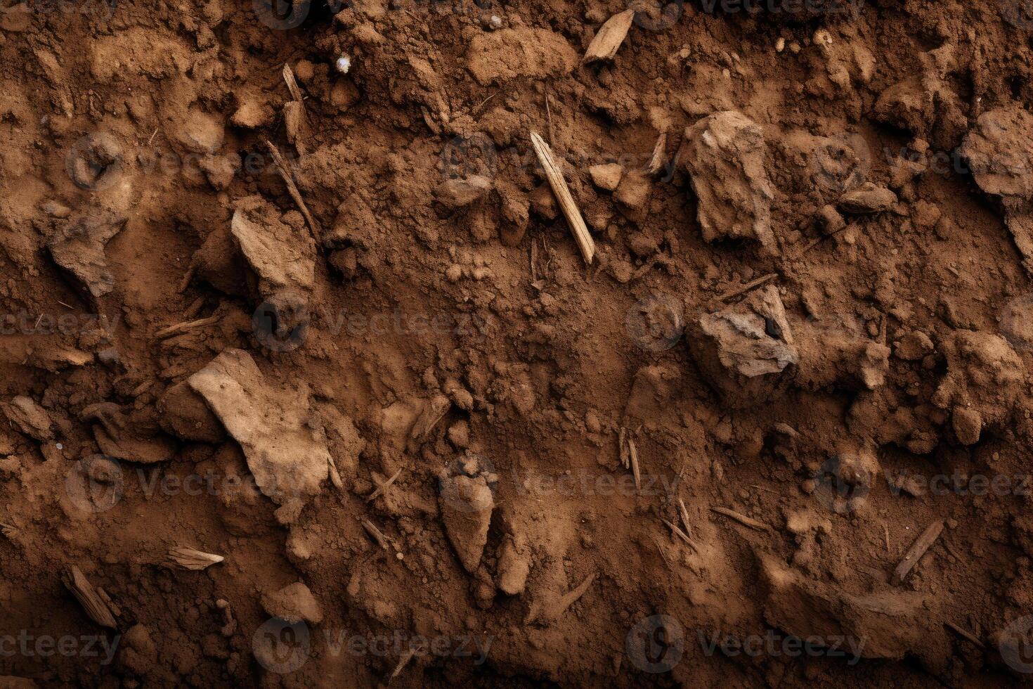 Close Up of Dirt Field With Rocks photo
