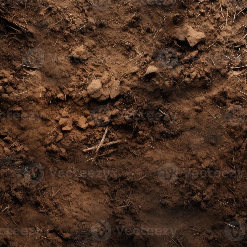 Close Up of Dirt Field With Grass and Rocks photo