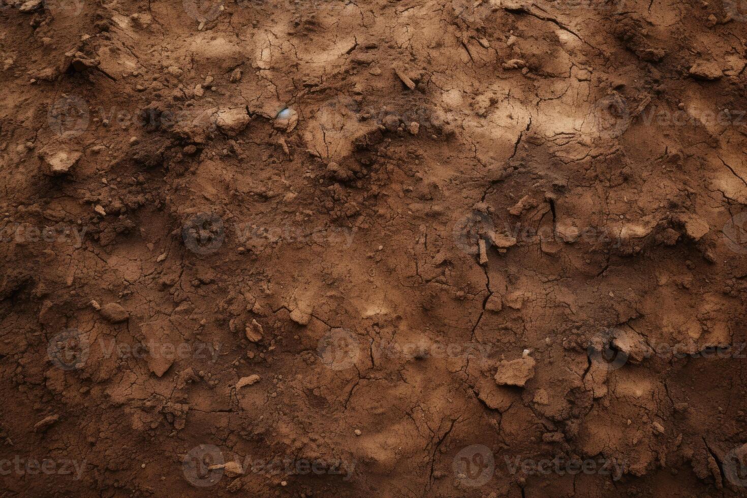 Close-Up of Dirt Field With Scattered Debris photo