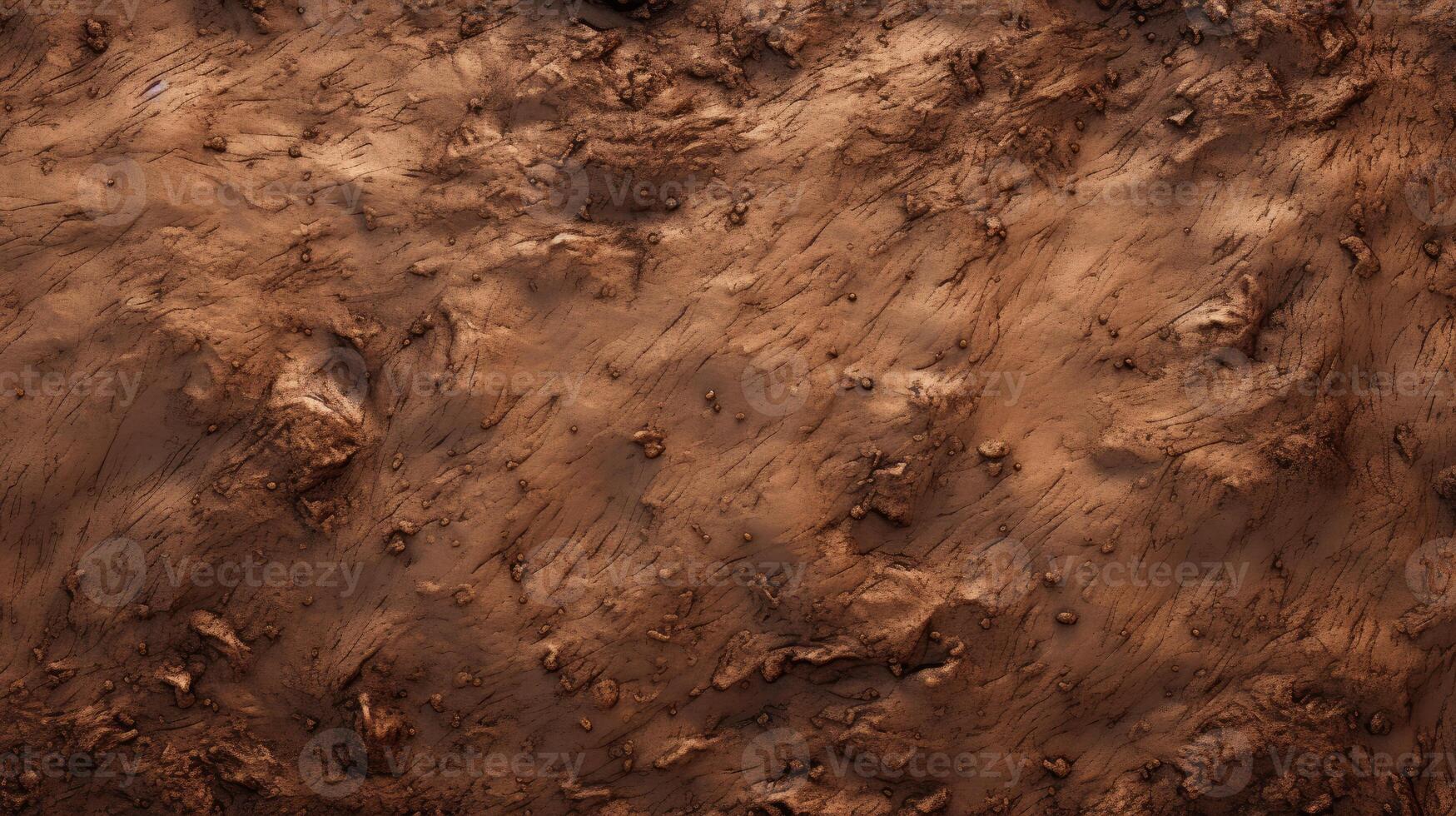Dirt Field With Some Dust photo