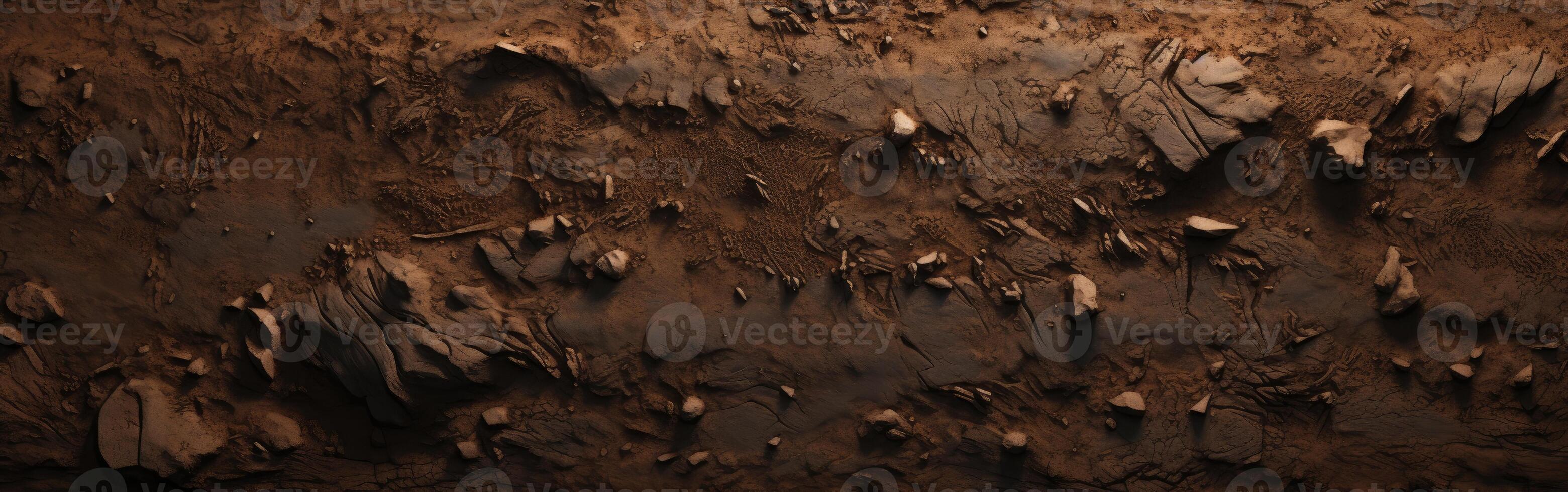 Aerial View of Dirt Field With Rocks photo