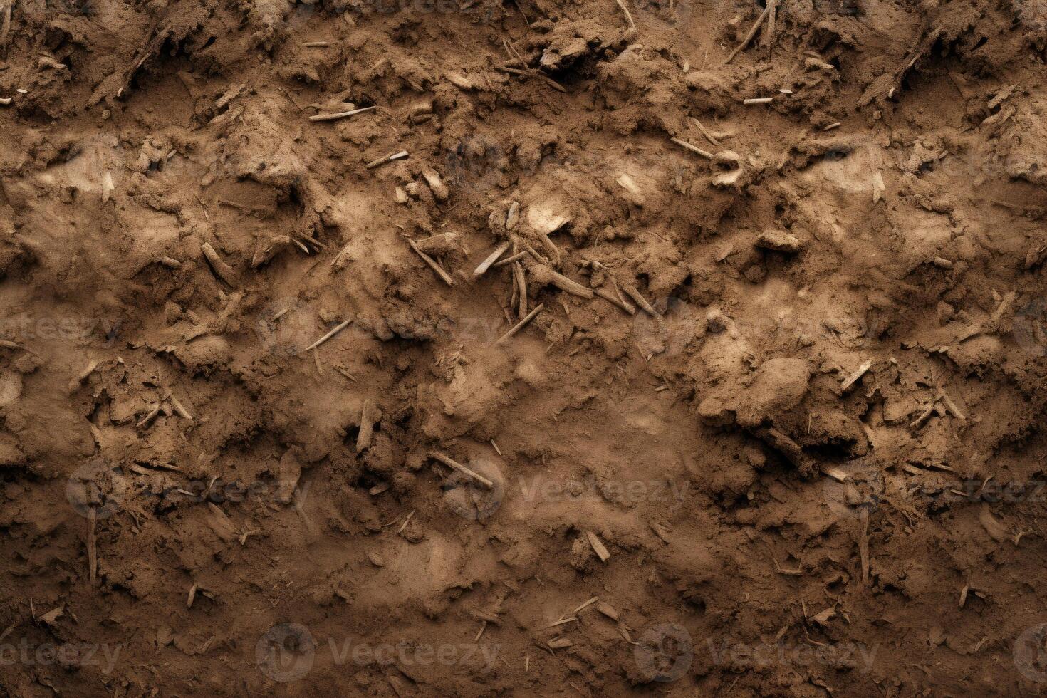 Close Up of Dirt Surface photo
