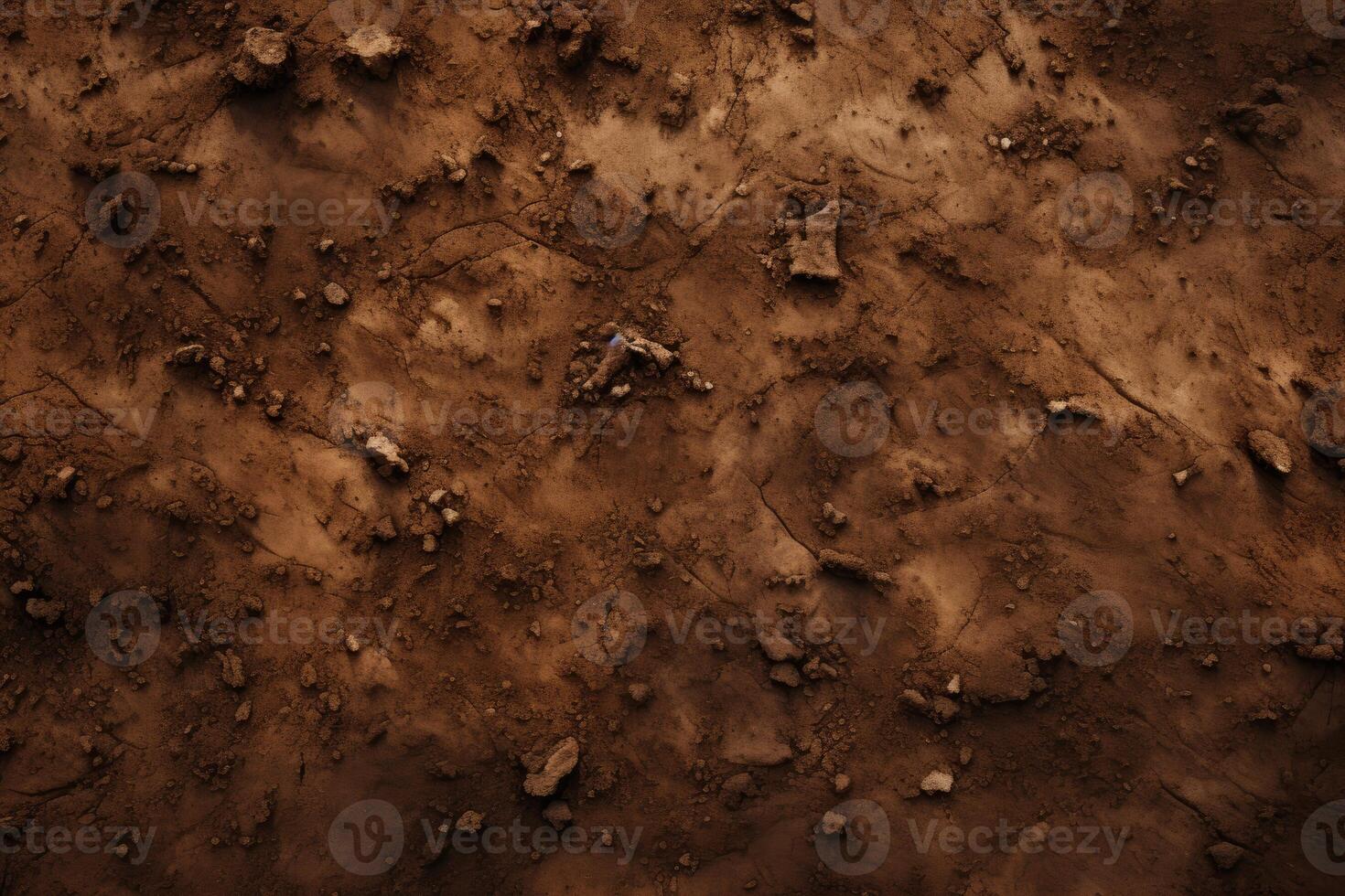 Close Up of Dirt Surface With Rocks and Dirt photo