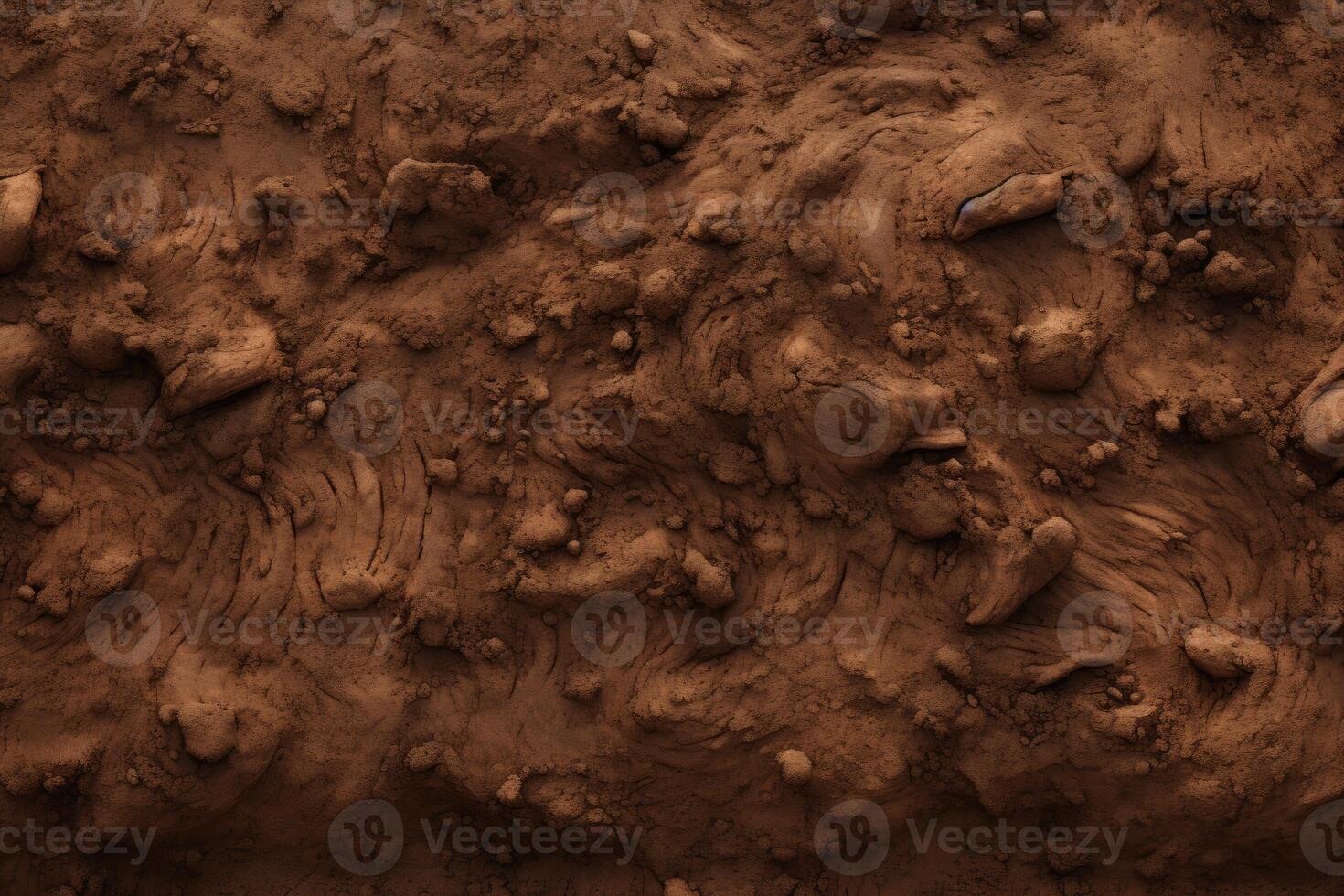Close-Up of Dirt Surface With Rocks photo