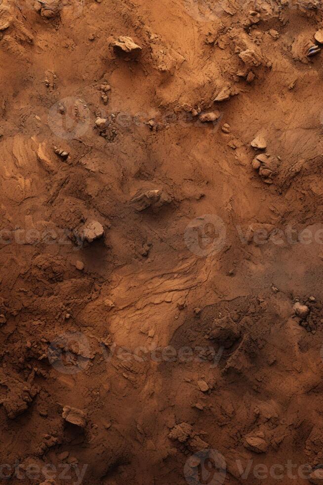 Abandoned Dirt Field With Rocks photo